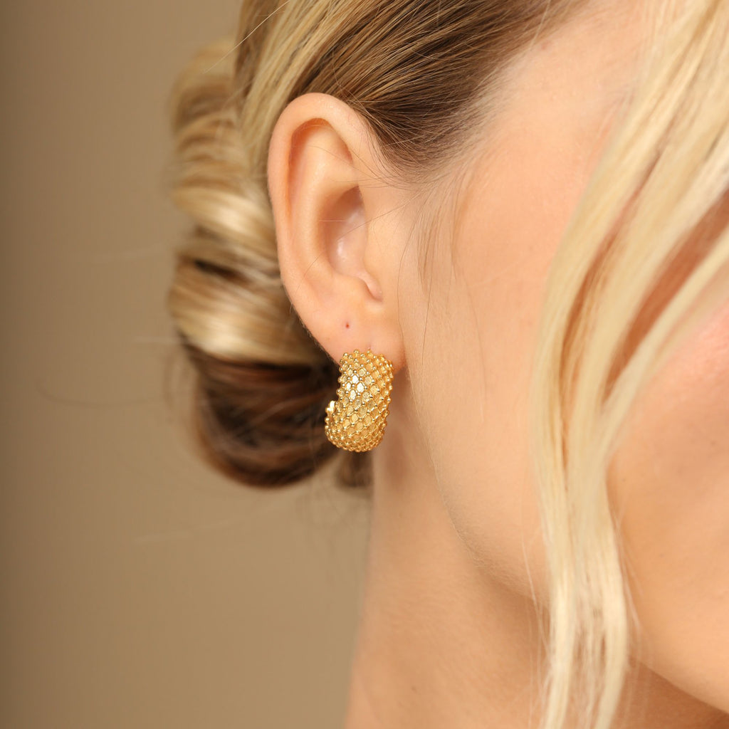 Felipa Hoops