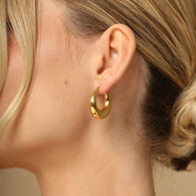 Mystery Earrings