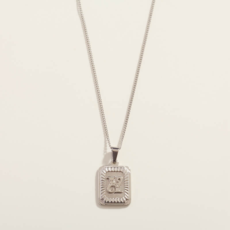 Silver Sorte Necklace